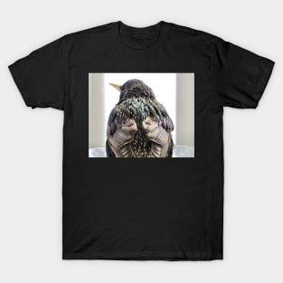 European Starling No.1 T-Shirt